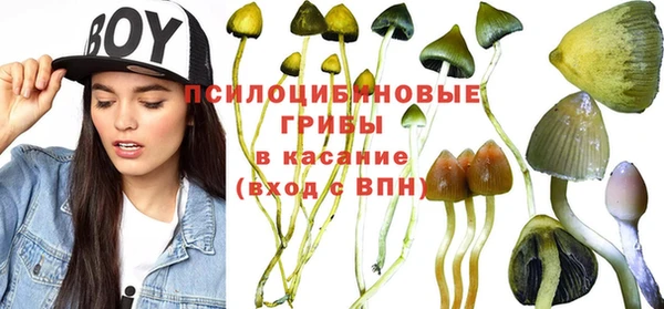 ПСИЛОЦИБИНОВЫЕ ГРИБЫ Абаза