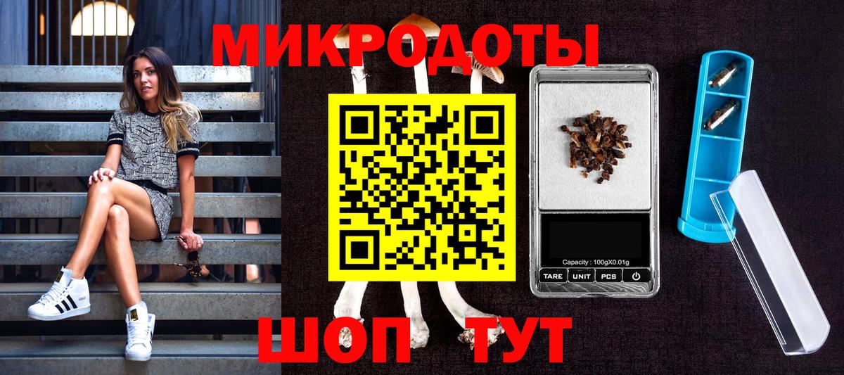 Азов  Псилоцибиновые грибы прущие грибы  Вход с VPN  Галлюциногенные грибы Cubensis 